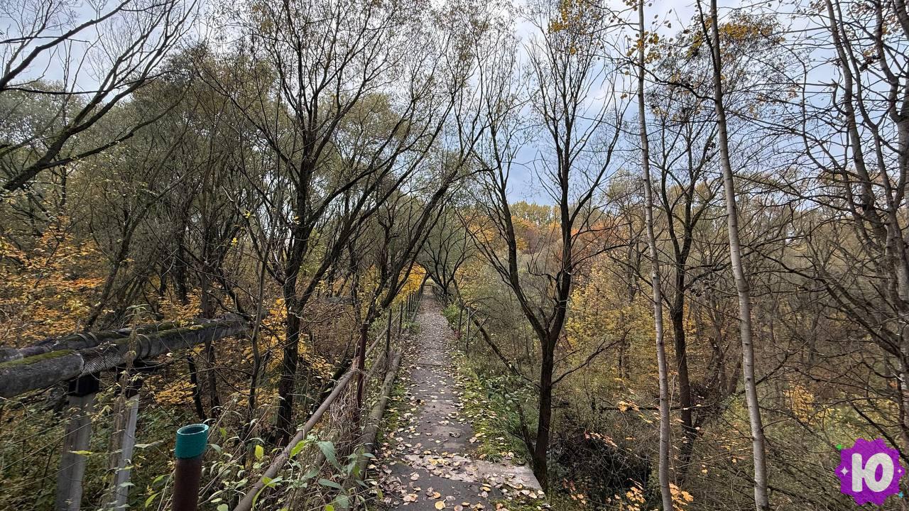 Заброшенный мост в заповеднике Царицыно
