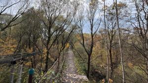 Заброшенный мост в заповеднике Царицыно